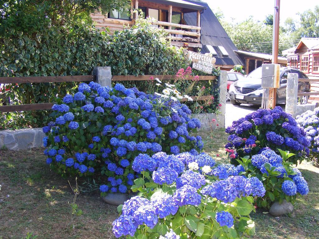 Cabanas Las Hortensias Hotel Niebla Eksteriør billede
