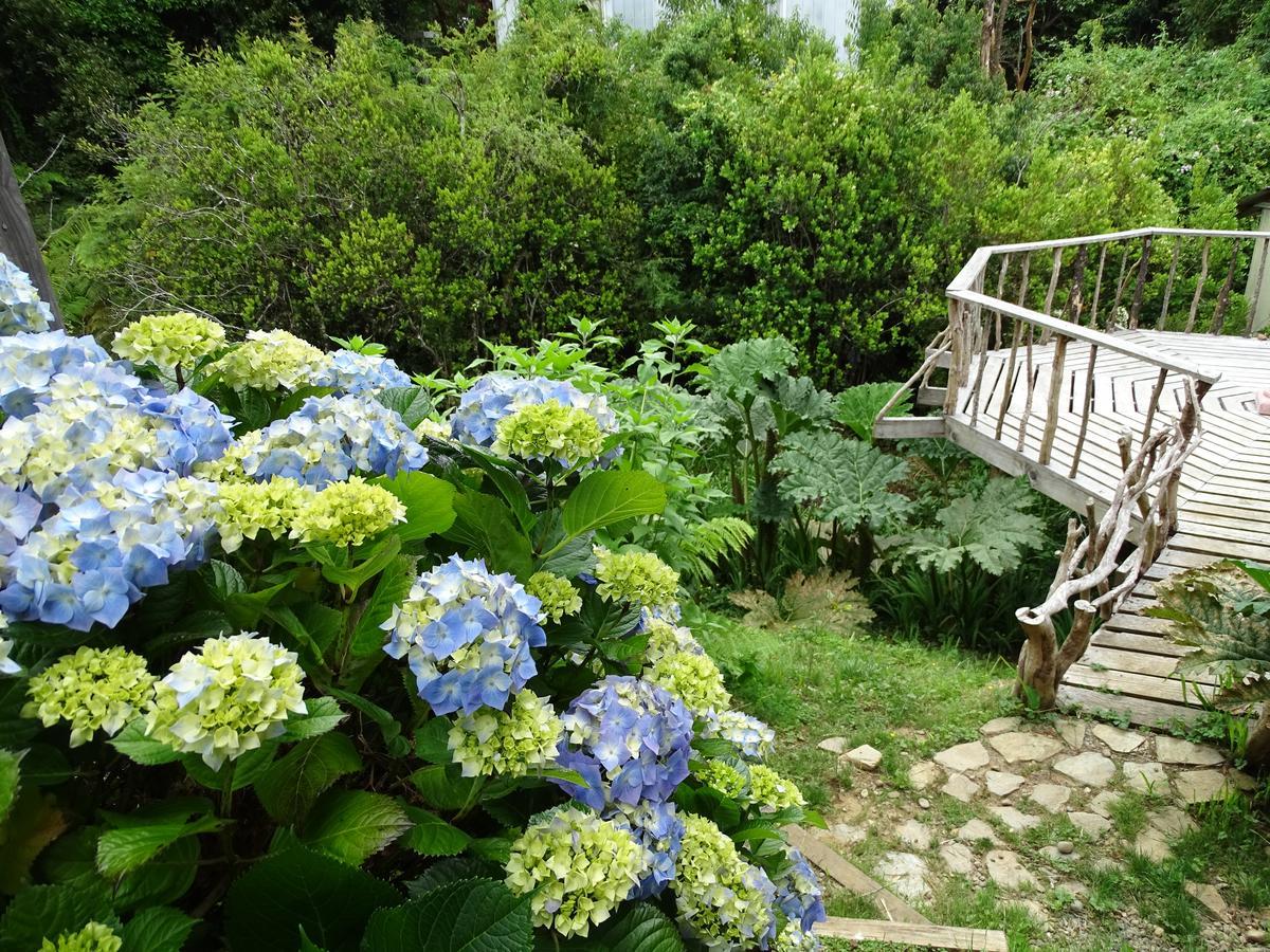 Cabanas Las Hortensias Hotel Niebla Eksteriør billede